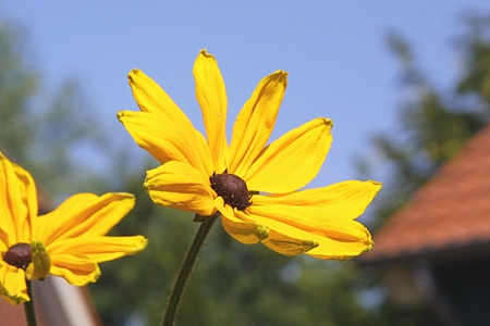 Foto aus der Fotogruppe 